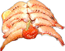 CocktailShrimp