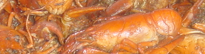 Crawfish