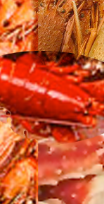legcrabcrawfish